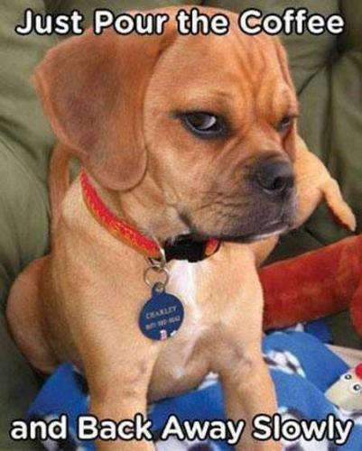 10:02:46 GMT-0400 (EDT)