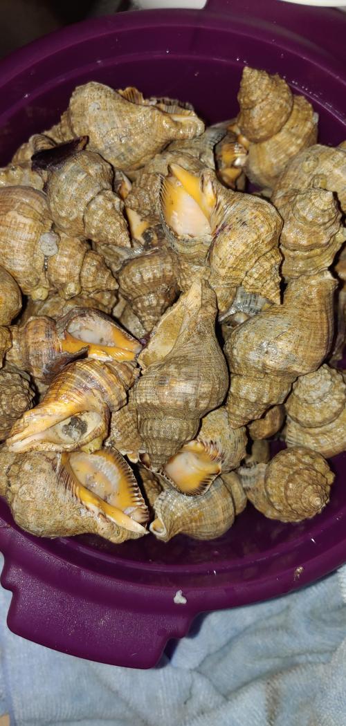 17:52:46 GMT-0500 (CDT)