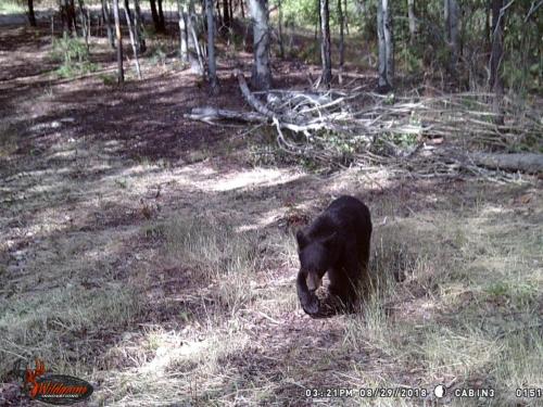 41525959_10217220279997655_6819871968230113280_o_10217220279957654