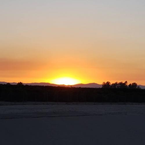 IMG_20200729_063343_892