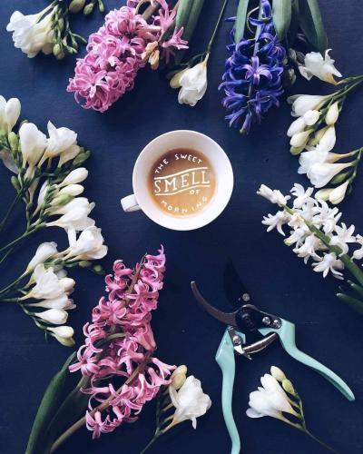 13040878_10201482359136813_1491155183896076622_o_10201482359136813