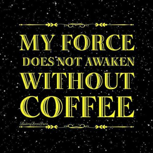 14089325_10201952318725509_3599566955506842805_n_10201952318725509
