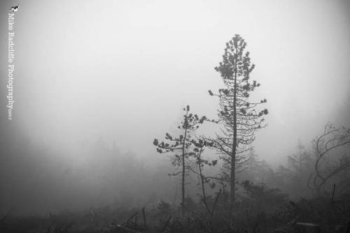 FB_IMG_1603108952391