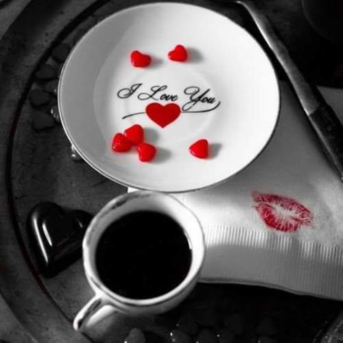 12742840_10201242140011485_3541344821722720425_n_10201242140011485