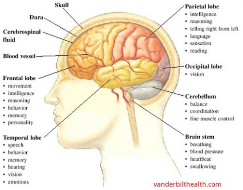 20245870_10203382683923745_6621750263808659318_n_10203382683923745