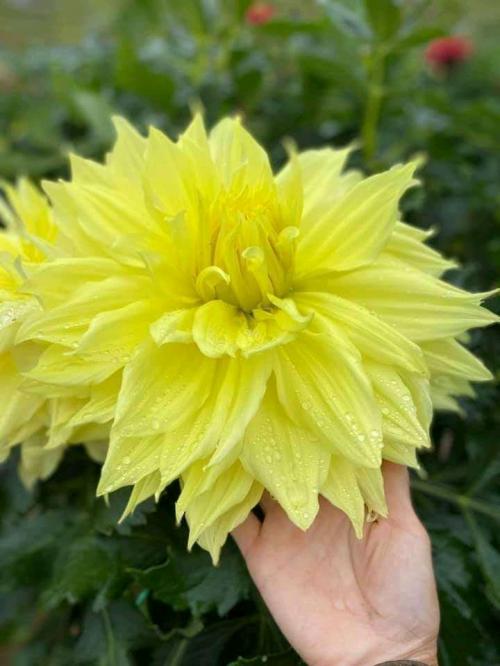 20:03:08 GMT+0100 (WAT)