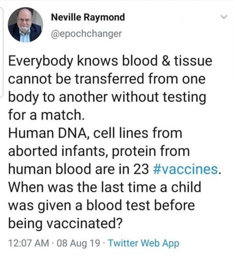 FB_IMG_1565313518746