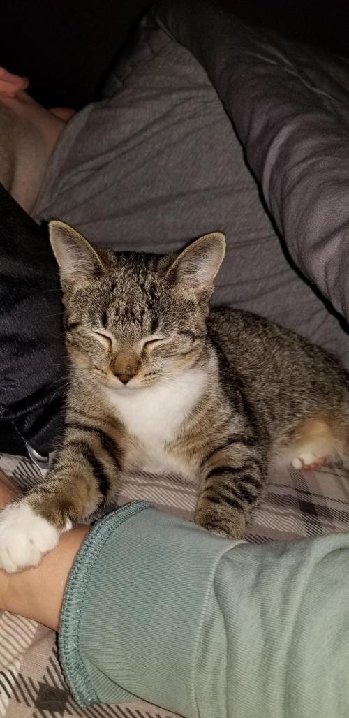 inbound8394311652312761647