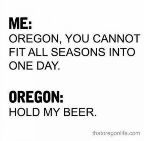 18485654_1512203918810296_2930786329568412728_n