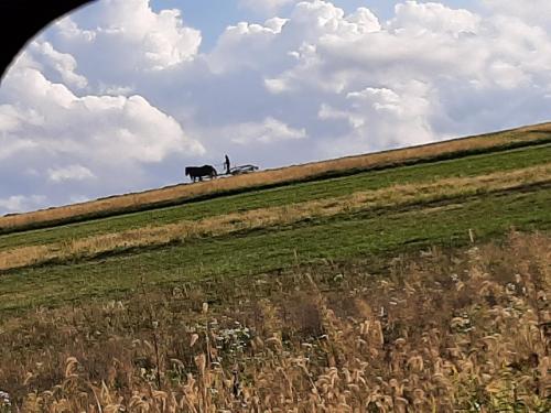 21:45:06 GMT-0400 (EDT)