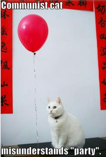 14079826_10201950365716685_5011073667076142194_n_10201950365716685