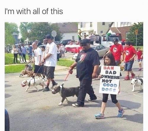 I'm with all of this