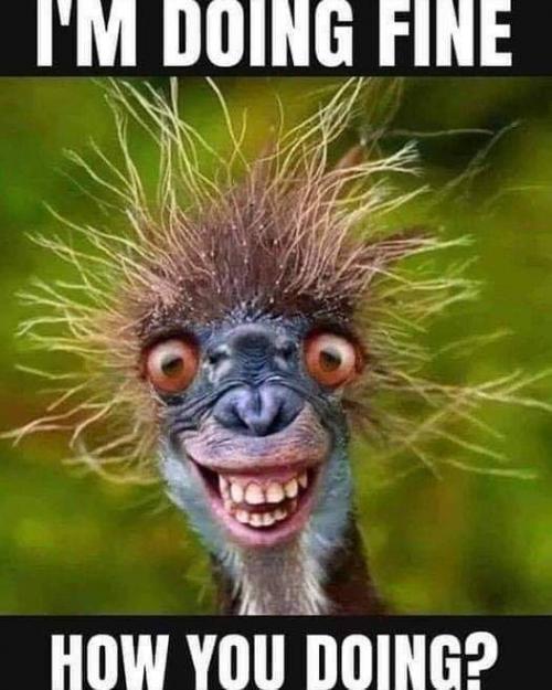 FB_IMG_1599678027006