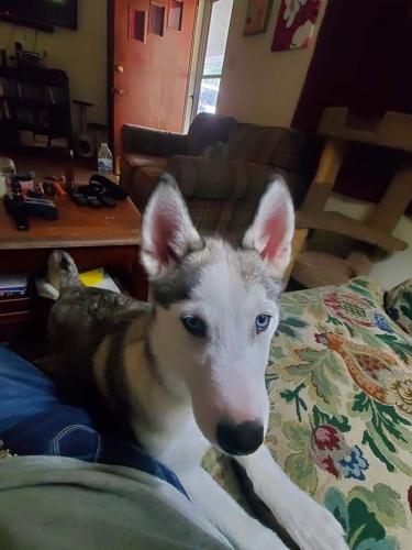 15:21:48 GMT-0400 (EDT)