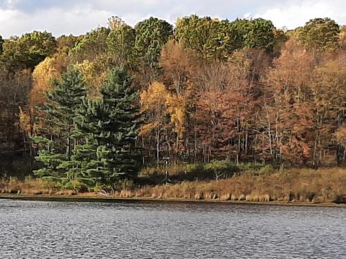 21:45:06 GMT-0400 (EDT)