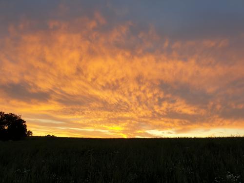 14:35:03 GMT+0200 (CEST)