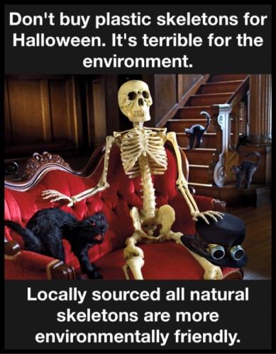 tumblr_ac4632ffd6899412634f8b774ebabbec_e6c63215_540