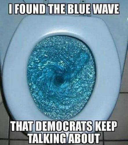 The Blue Wave