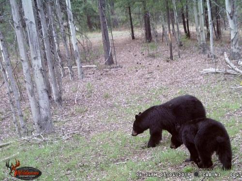 64582662_10219357706511982_1163518992812343296_o_10219357706391979