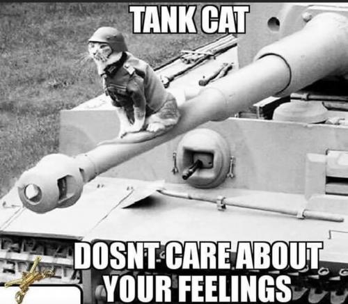 facebook_1600889423057_6714616910688558674_190904269897070