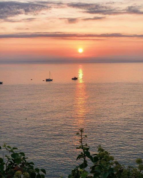 result_1602349107561