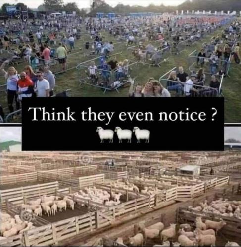 11:28:12 GMT-0400 (EDT)