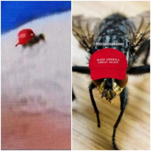 11:03:21 GMT-0500 (CDT)