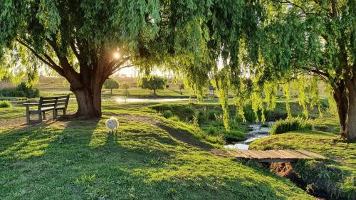 FB_IMG_1602798579142