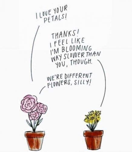 67729109_10206001287507198_582740698864812032_n_10206001287467197