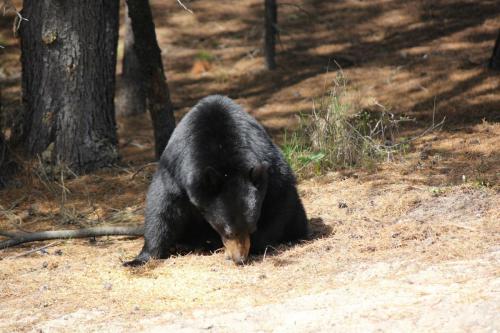 461314_10201080227306425_1997361248_o_10201080227306425