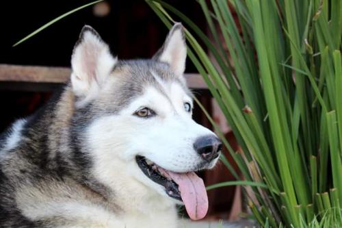 01:40:37 GMT+0100 (WAT)