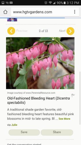 20247732_10203382692843968_6864307838393654123_o_10203382692843968