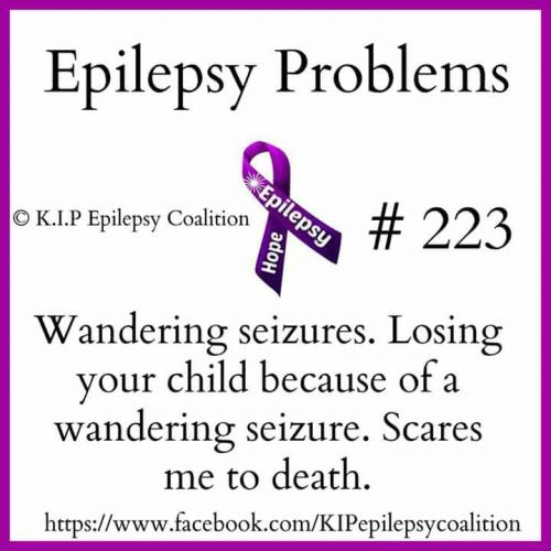 32743104_10204471054292324_5085961329731174400_n_10204471054252323