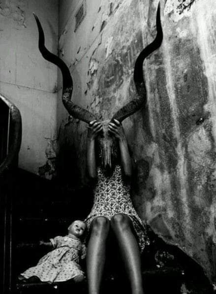 FB_IMG_1550552185120