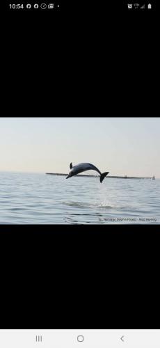 21:42:56 GMT-0400 (EDT)