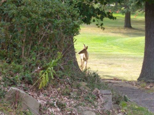 21728533_10203572485148657_8408827215493596749_n_10203572485148657