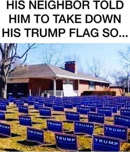 Flags on the Lawn