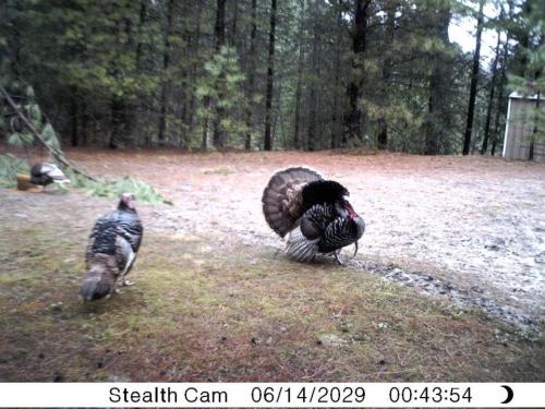 164912_10201010734169140_1500486211_n_10201010734169140