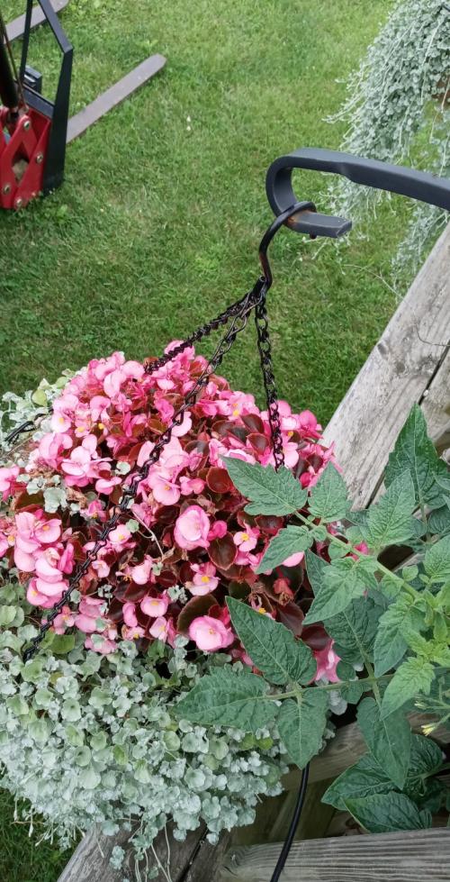 10:28:51 GMT-0400 (EDT)