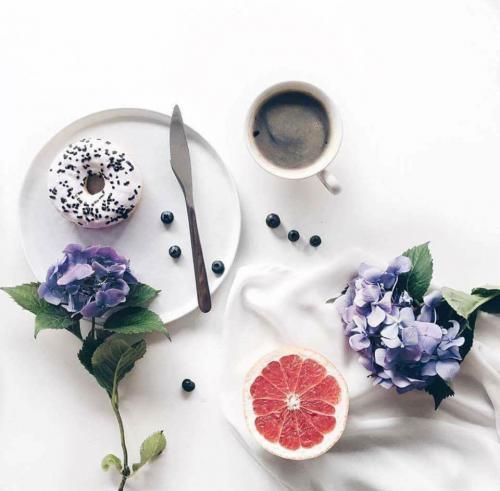 15380391_10202378856668691_5180222911527560052_n_10202378856668691