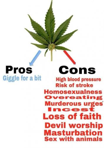 Pros N Cons