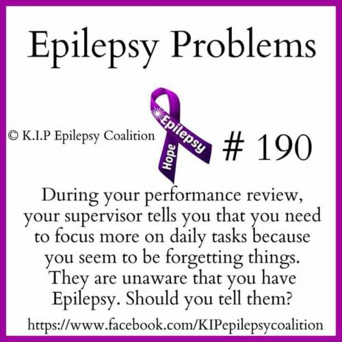 32737340_10204471056452378_1659841341909106688_n_10204471056412377