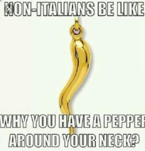 13892254_10201886815927980_8880269598748201152_n_10201886815927980