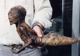 humancloneexperiment2