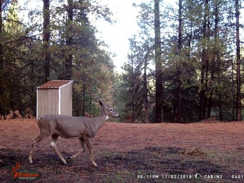 47092729_10217827189450012_4190569775044231168_o_10217827189410011