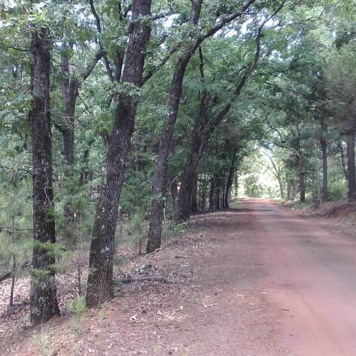 IMG_20200802_191132_799