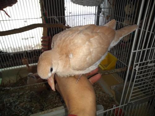 18:19:27 GMT-0500 (CDT)