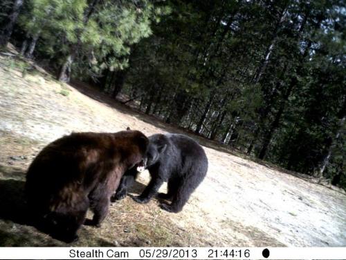 10657_10201513532178776_1543847354_n_10201513532178776