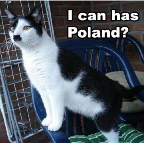 14047261_10201950362316600_7975586938858370641_o_10201950362316600