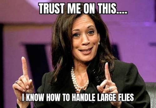 FB_IMG_1602170865614